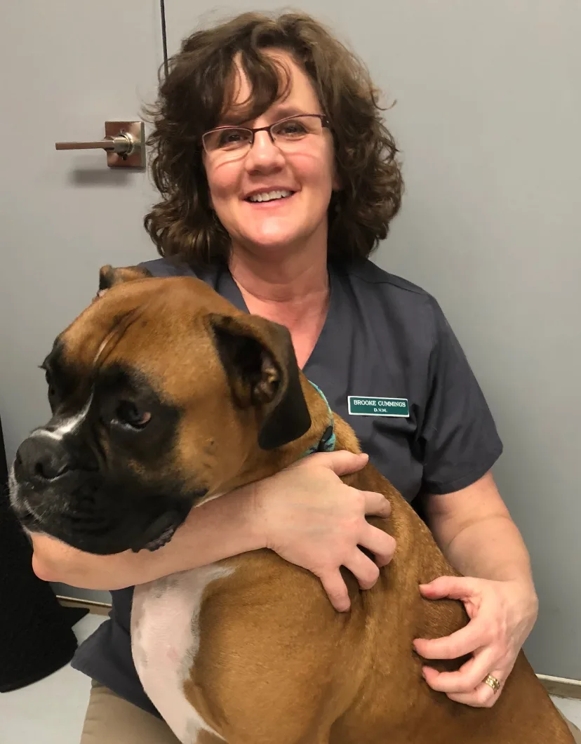 Brooke Cummings, DVM at Garland Animal Clinic 